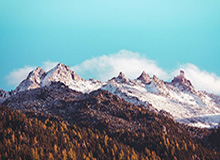 九游体育：以科技点亮体育热情的全新体验